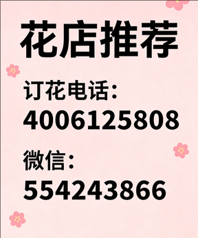 钦州灵山县花店哪家好